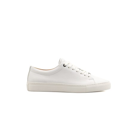 TENIS CASUALES EN CUERO  -  MARTIN Clean Cut Sneaker