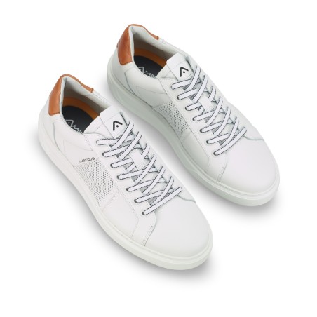 Tenis Casuales 100% Cuero - KIT Low-Top Ambitious